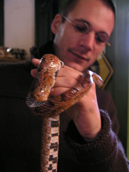 Animal Liberation Front