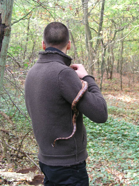 Animal Liberation Front