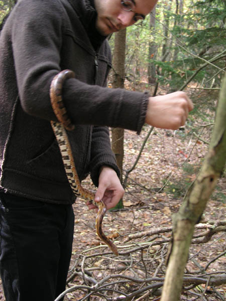 Animal Liberation Front