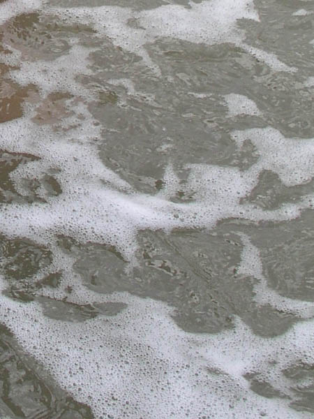 Animal Liberation Front