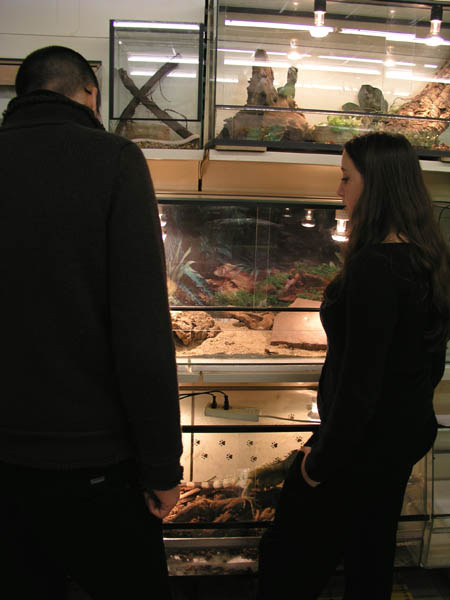 Animal Liberation Front