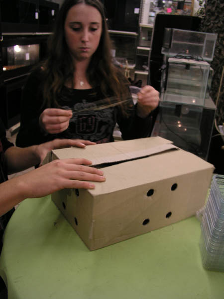 Animal Liberation Front