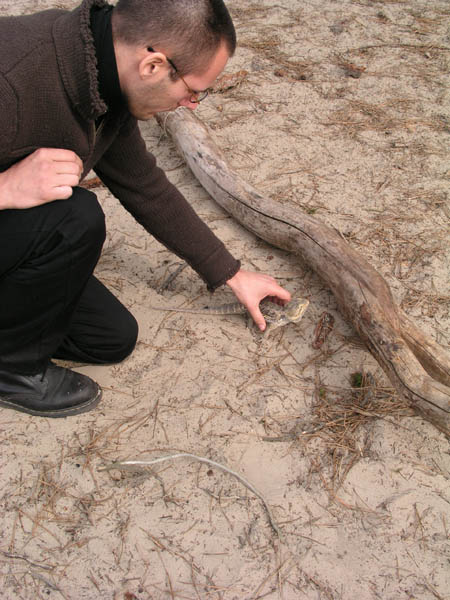 Animal Liberation Front