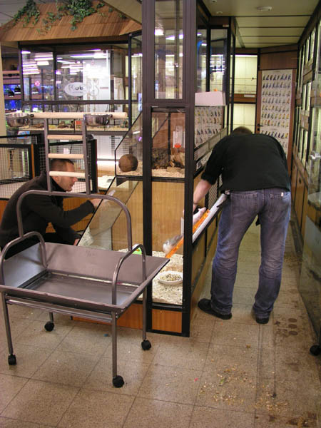 Animal Liberation Front