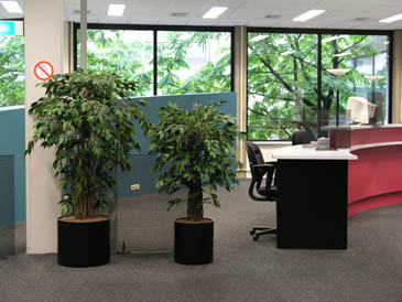 Artificial plants replaced