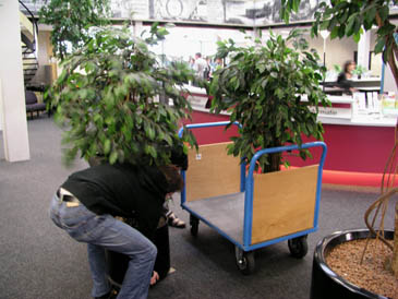 Artificial plants replaced