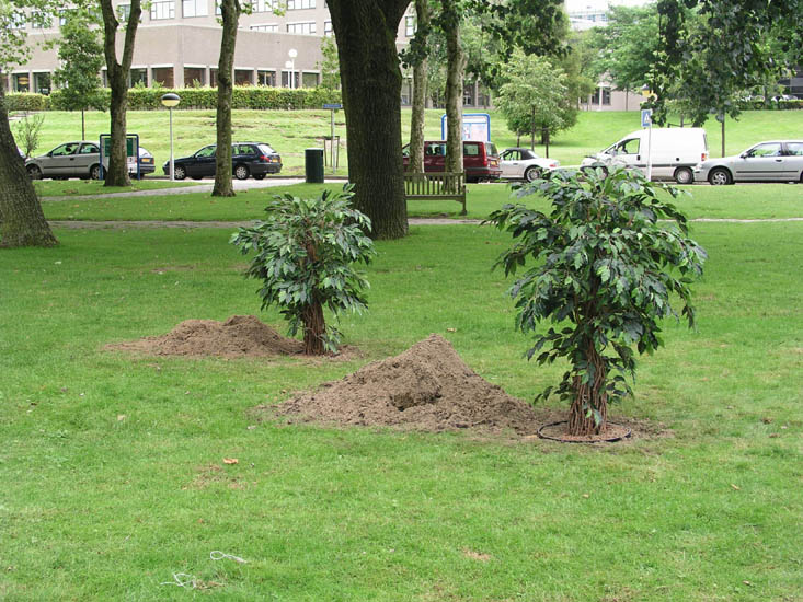 Artificial plants replaced