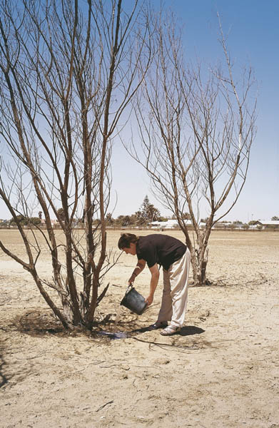 Woman watering trees